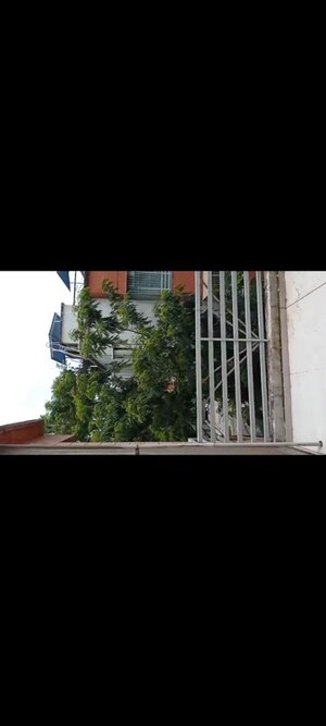 Balcony in 1 BHK Villa at Roman Residency, Naigaon West – for Rent