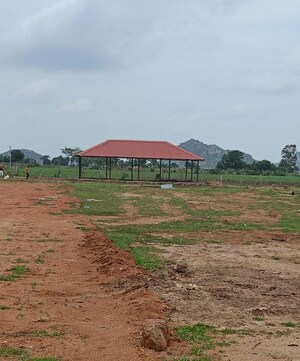  Plot – Exterior View View at Chintapalli - for Sale