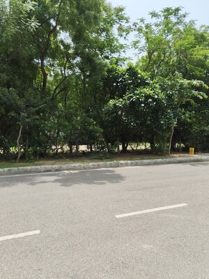 Plot Area in  Plot at Sector 37 Greater Noida – for Sale