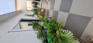 Balcony in 2 BHK Builder Floor at Sai Kunj New Palam  vihar, New Palam Vihar Phase 3 – for Rent