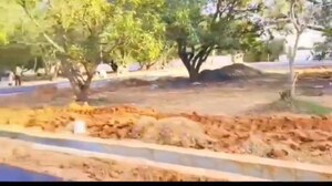 Plot Area in  Plot at Paranur – for Sale