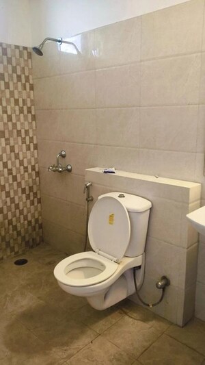 Bathroom in  Office Space at Shimla Bypass Road – for Rent