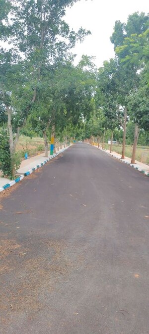  Plot For Sale in Chikkaballapur