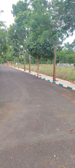Plot Area in  Plot at Chikkaballapur – for Sale