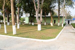  Plot – Garden View at Bhogapuram - for Sale