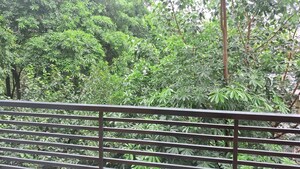 1 BHK Apartment For Sale in Sarita Vihar