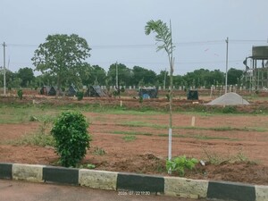 Plot Area in  Plot at Shadnagar – for Sale