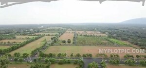   Plot at Bhogapuram – for Sale