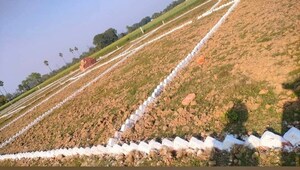 Plot Area in  Plot at Naubatpur – for Sale