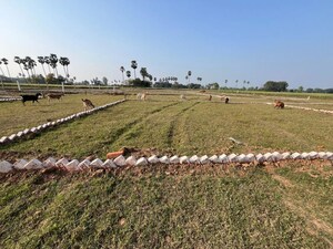 Plot Area in  Plot at Turki – for Sale