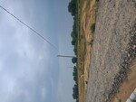 301 Sq.Yd. Plot in Sohna