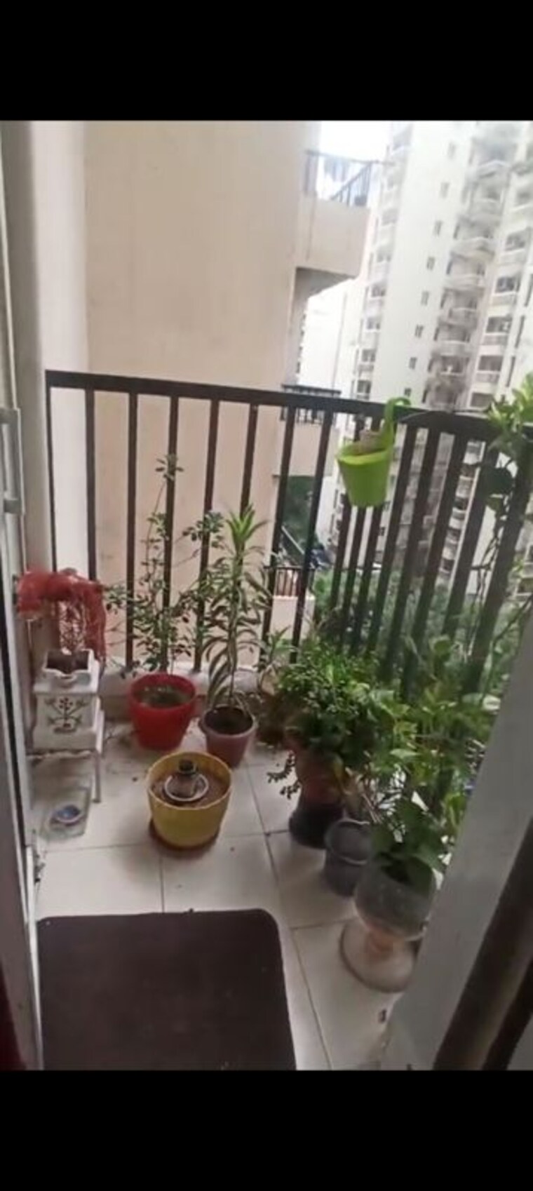 Balcony, gaur-city-2-10th-avenue  555 Sq.Ft. Apartment In Sector 16c Greater Noida Greater Noida 10591487