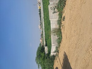  Plot For Sale in Sohna