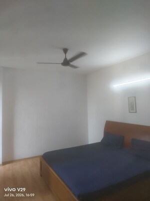 3 BHK Apartment For Rent in Tulip Violet, Sector 69