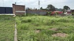 100 Sq.Yd. Plot in Aamwala