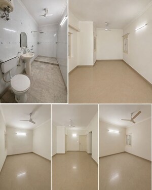 Team Area in 3 BHK Builder Floor at Sarvapriya Vihar – for Rent
