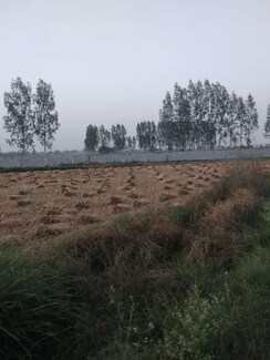 Plot For Sale in Sohna