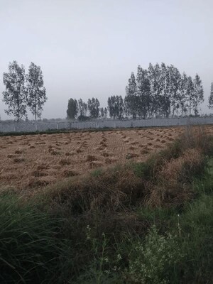  Plot For Sale in Sohna