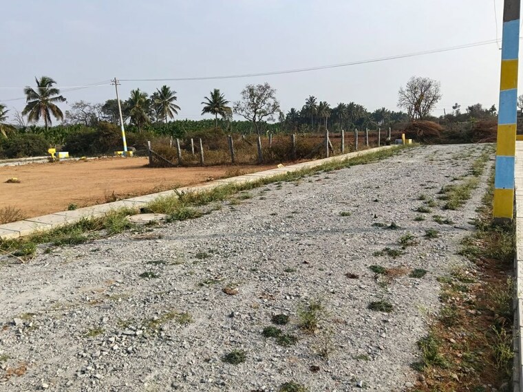 Exterior View, nelamangala  1200 Sq.Ft. Plot In Nelamangala Bangalore 10592187