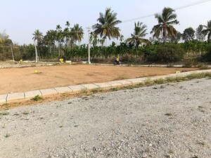 Plot Area in  Plot at Nelamangala – for Sale