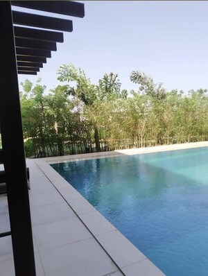 Swimming Pool in 3 BHK Apartment at Adani M2K Oyster Grande, Sector 102 – for Sale
