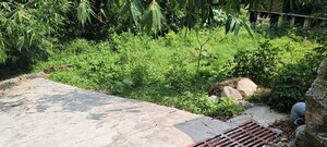 Plot Area in  Plot at Anarwala – for Sale