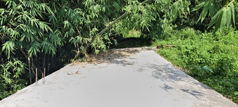 undefined, anarwala  181 Sq.Yd. Plot In Anarwala Dehradun 10592439