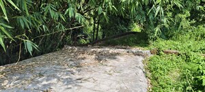 Plot Area in  Plot at Anarwala – for Sale