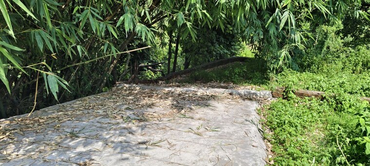 undefined, anarwala  181 Sq.Yd. Plot In Anarwala Dehradun 10592439