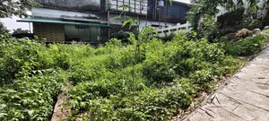  Plot – Exterior View View at Anarwala - for Sale