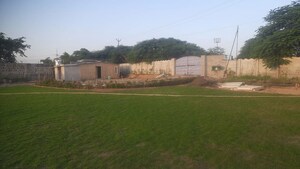 Plot Area in  Land at Sector 59 – for Rent