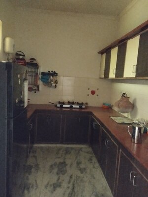 Kitchen in 3 BHK Independent House at Sector 14 – for Rent
