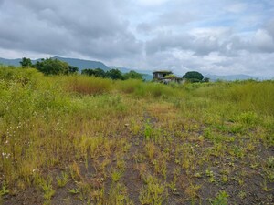 Plot Area in  Industrial Plot at Wada – for Sale