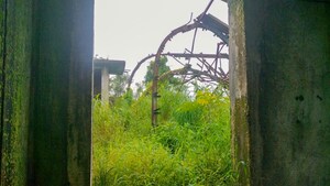 Plot Area in  Industrial Plot at Wada – for Sale