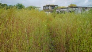 Plot Area in  Industrial Plot at Wada – for Sale