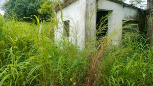 Plot Area in  Industrial Plot at Wada – for Sale