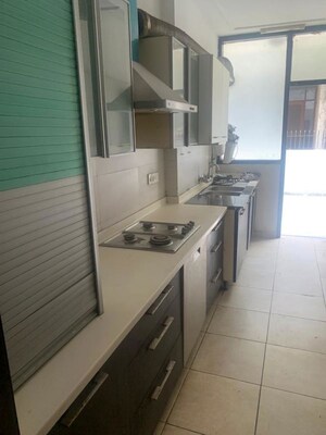 Kitchen in 3 BHK Builder Floor at Unitech South City II, Sector 50 – for Rent