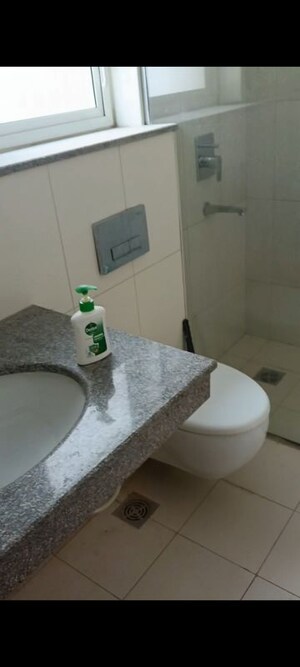 Bathroom in 2.5 BHK Apartment at Godrej Nature Plus, Sohna Sector 33 – for Rent