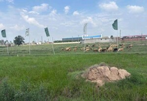 Plot Area in  Plot at Banur – for Sale