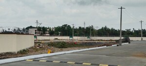 Plot Area in  Plot at Palur – for Sale