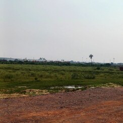 Industrial Plot For Sale in Sikri