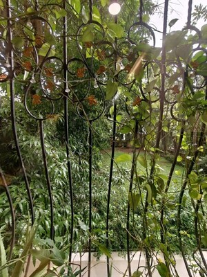 2 BHK Apartment – Garden View at Bandra West - for Rent