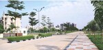 200 Sq.Yd. Plot in Orris Woodview Residencies