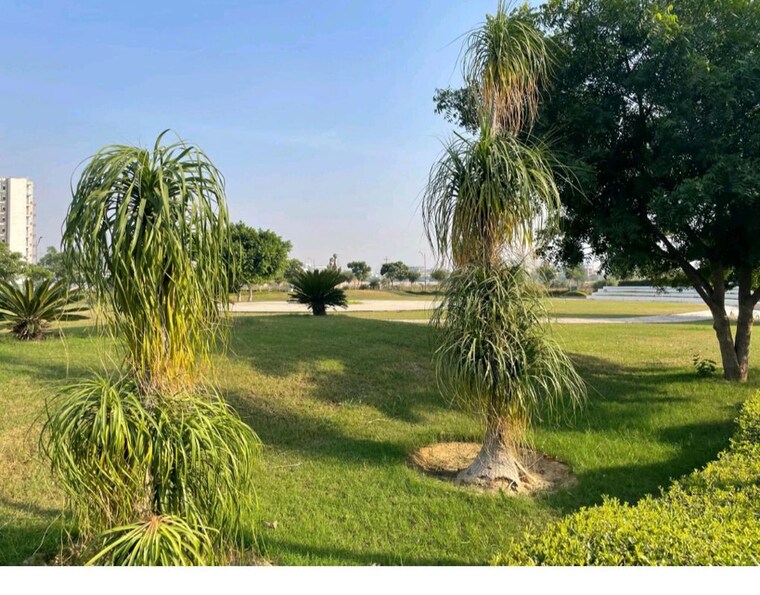 Garden, orris-woodview-residencies  200 Sq.Yd. Plot In Sector 89 Gurgaon 10593680