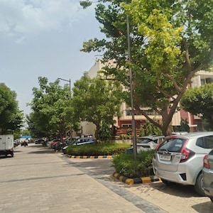 3 BHK Apartment For Rent in Orchid Island, Sector 51