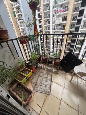 Team Area in 3 BHK Apartment at Panchsheel Greens II, Sector 16 Greater Noida – for Sale