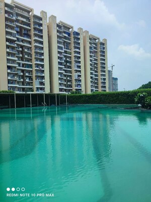 Swimming Pool in 4 BHK Apartment at Tulip Violet, Sector 69 – for Rent