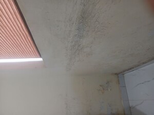 3 BHK Builder Floor For Sale in Noida Extension