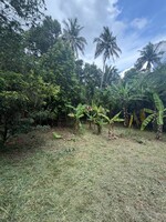 3268 Sq.Ft. Plot in Kuttoor