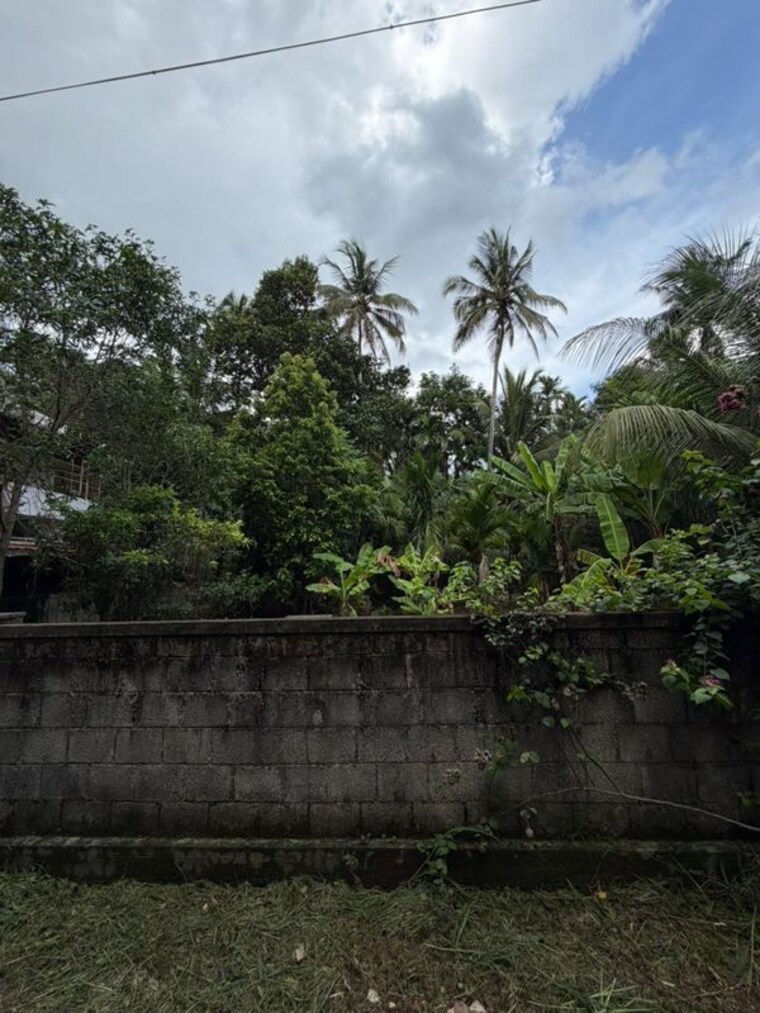 undefined, kuttoor  3268 Sq.Ft. Plot In Kuttoor Thrissur 10536976